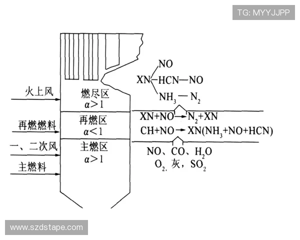 北京排球队快攻战术解析与实战应用探讨