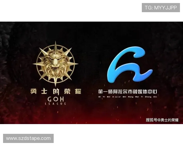 武汉排球队的崛起之路欧锦赛背后的奋斗与荣耀