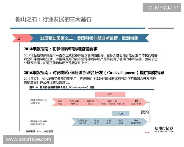 深圳羽毛球队耐力之争引发热议球员训练方式与比赛表现的深度探讨