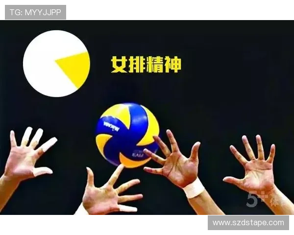 南京排球队在城市联赛中的默契配合与战术执行分析