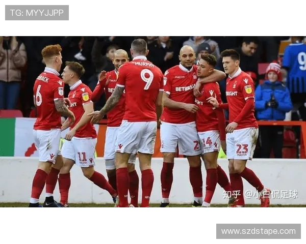 独家分析：南京足球队的力量对比