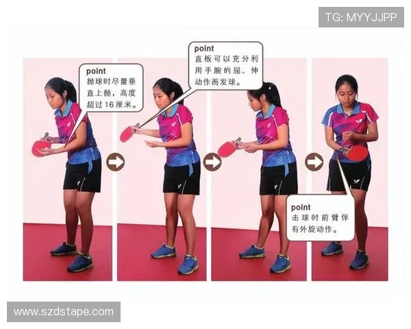 乒乓球新手必看团队协作技巧与入门指南助你快速提升球技